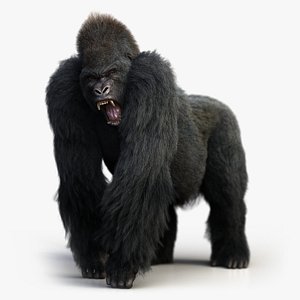 gorilla rig xgen-core model