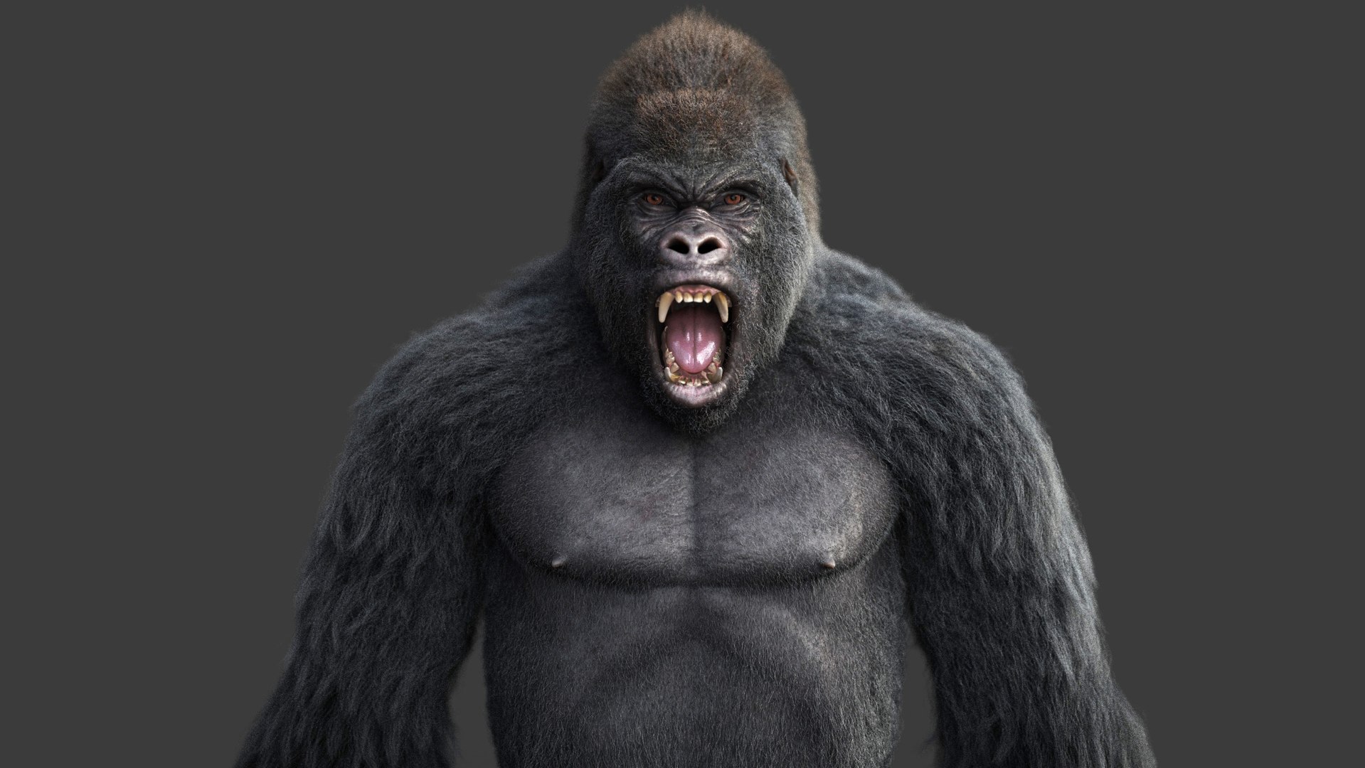 gorilla rig xgen-core model https://p.turbosquid.com/ts-thumb/eQ/lS5jns/pJ/03/jpg/1607247505/1920x1080/fit_q87/3e818f5c831b29f76b9fb9ed7a175123ce97c662/03.jpg