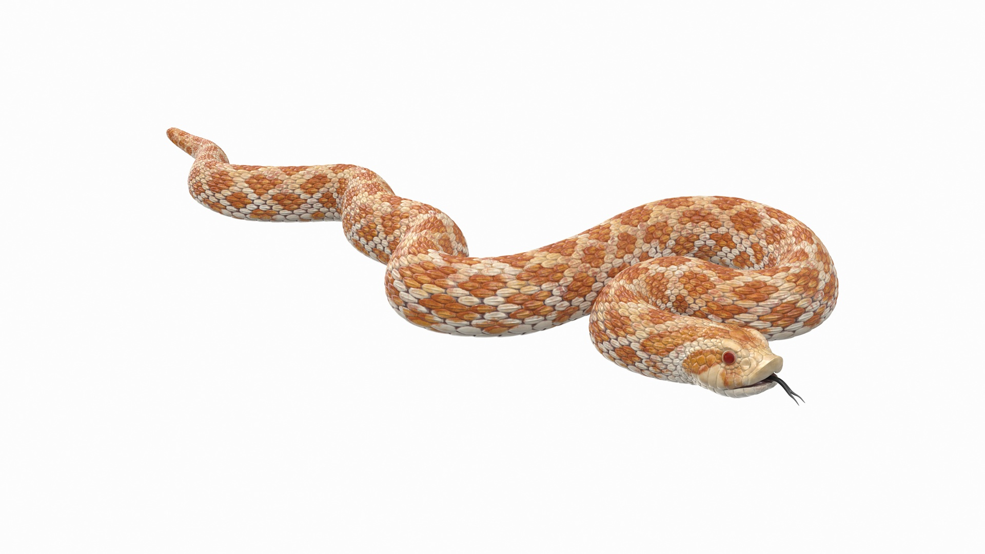 Python snake dark brown colour snake 3D model - TurboSquid 1958339