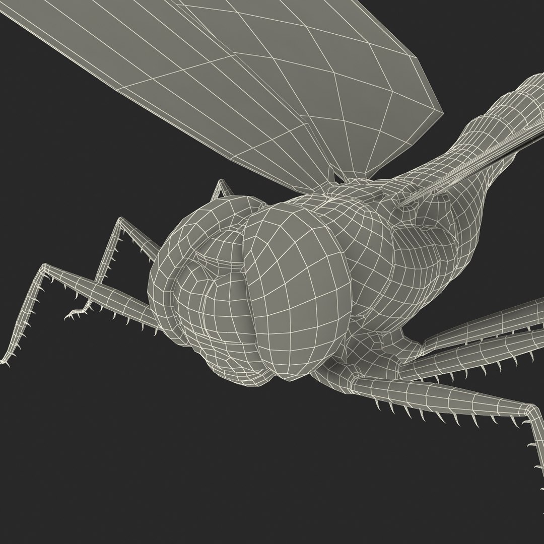 3d model dragon https://p.turbosquid.com/ts-thumb/eR/8N9VXf/1FkxRc3Q/dragonfly_25/jpg/1376597486/1920x1080/fit_q87/ff4f70945c469549173261257c5e1ff3e98b33e2/dragonfly_25.jpg