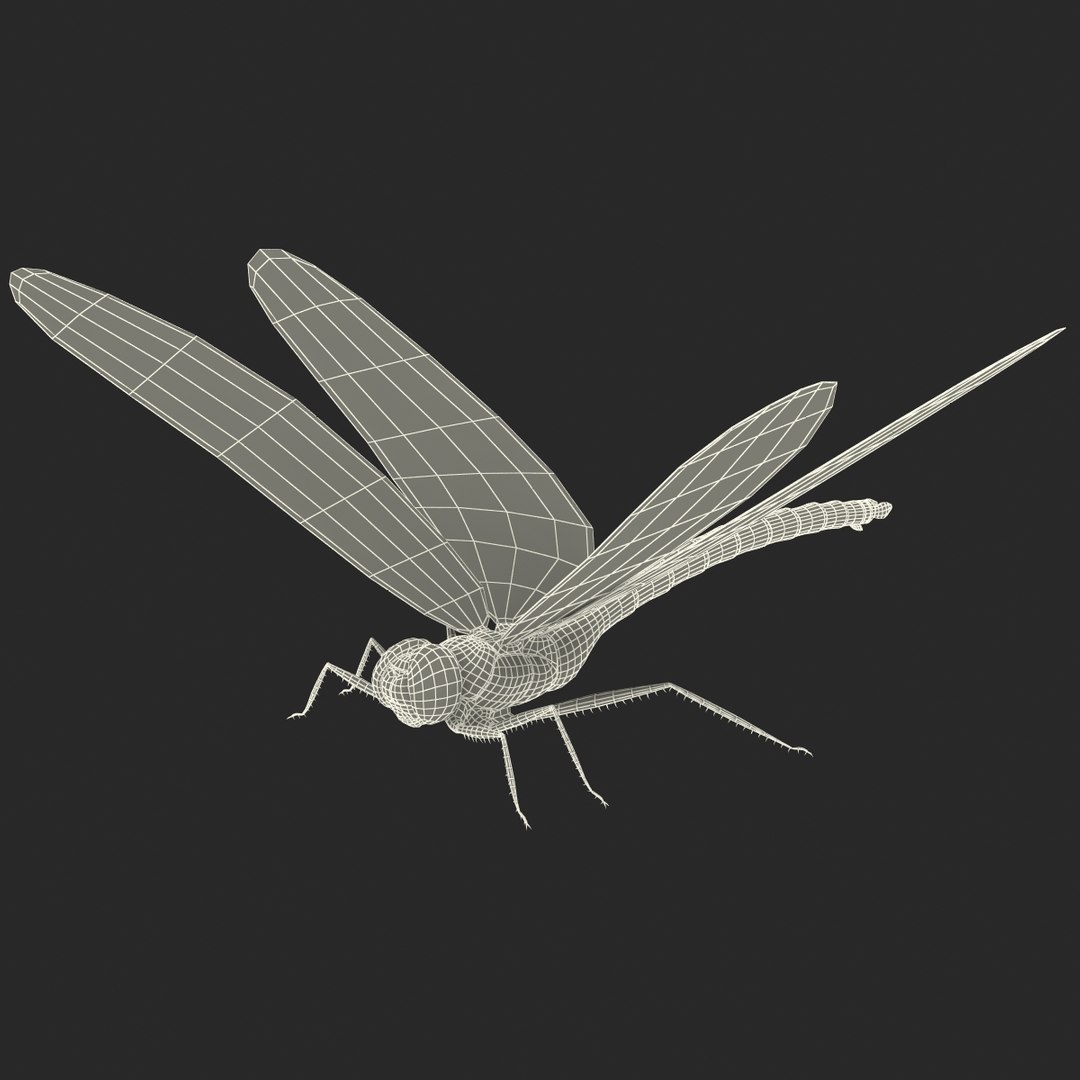 3d model dragon https://p.turbosquid.com/ts-thumb/eR/8N9VXf/4fhZe7tL/dragonfly_19/jpg/1376597430/1920x1080/fit_q87/64c37ba953e5b7692ad58866524ea064c3585b9b/dragonfly_19.jpg
