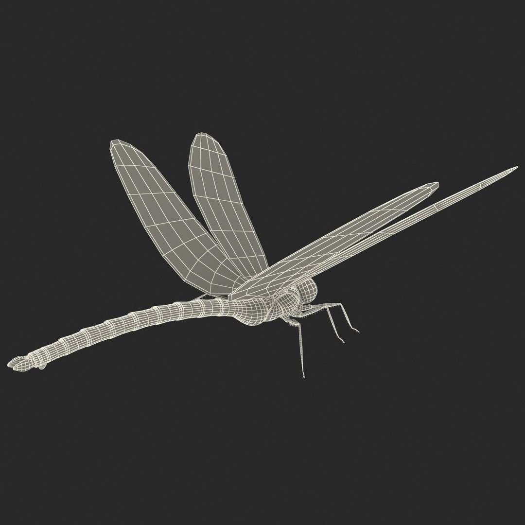 3d model dragon https://p.turbosquid.com/ts-thumb/eR/8N9VXf/4rPSGOk4/dragonfly_22/jpg/1376597460/1920x1080/fit_q87/0cb590dee6552ee03fc936bb670d6073d9b6d645/dragonfly_22.jpg