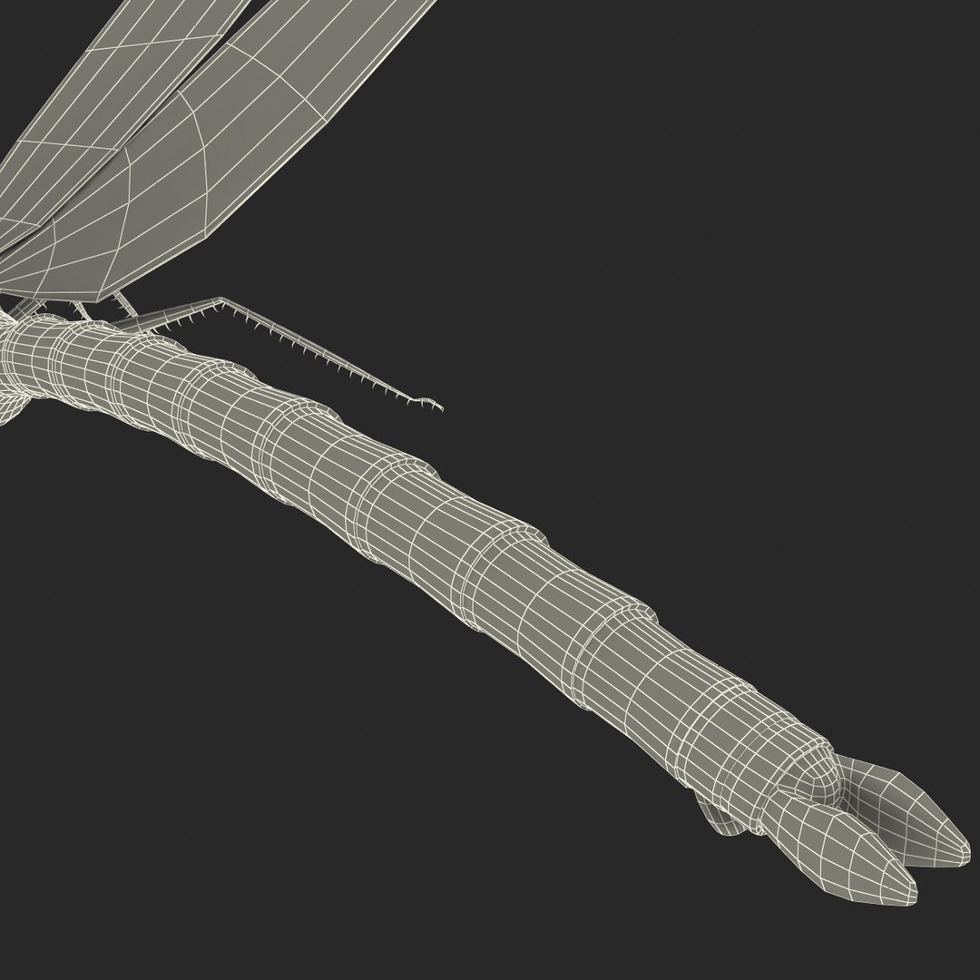 3d model dragon https://p.turbosquid.com/ts-thumb/eR/8N9VXf/8KTtGVRk/dragonfly_27/jpg/1376597498/1920x1080/fit_q87/171ab8a82cbca0ca4a7d1a13782155981df011c6/dragonfly_27.jpg