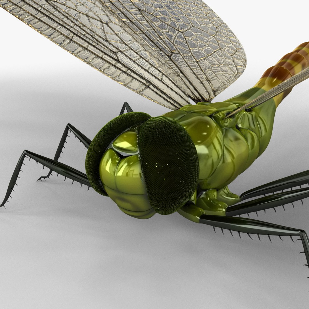 3d model dragon https://p.turbosquid.com/ts-thumb/eR/8N9VXf/955rrrdZ/dragonfly_13/jpg/1376597382/1920x1080/fit_q87/3757e22f45c64e5a097e6ebc08cad8860ef4b5c9/dragonfly_13.jpg