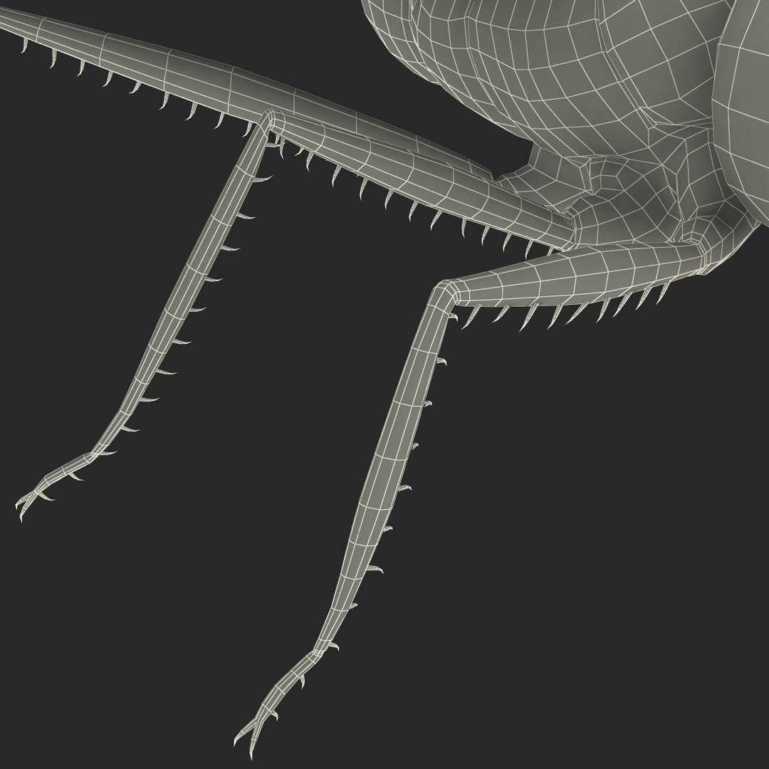 3d model dragon https://p.turbosquid.com/ts-thumb/eR/8N9VXf/C0JngOCO/dragonfly_26/jpg/1376597493/1920x1080/fit_q87/e458f0632a5684ca3fb0f245ebad1872b5bb0b94/dragonfly_26.jpg
