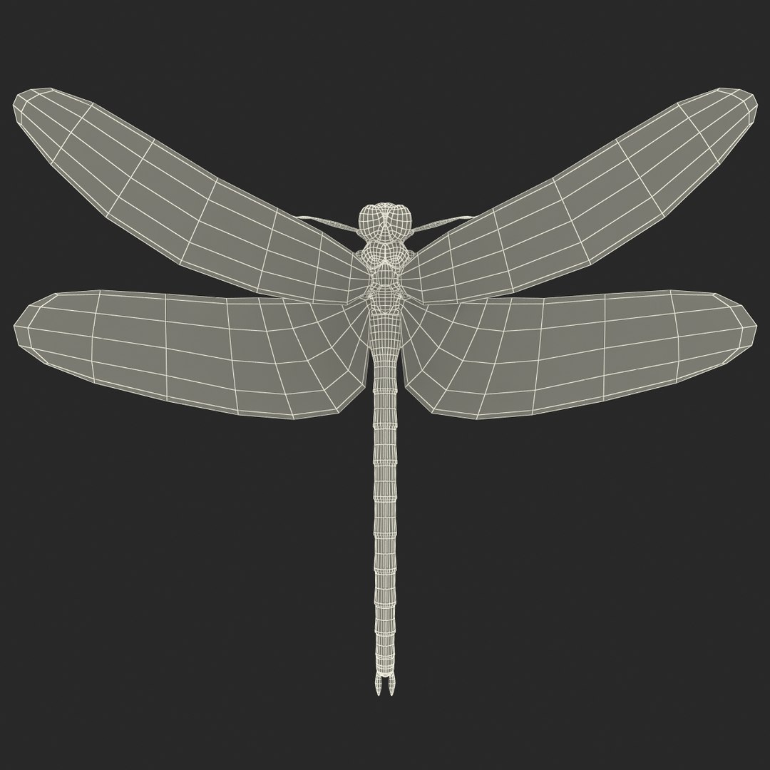 3d model dragon https://p.turbosquid.com/ts-thumb/eR/8N9VXf/FYmuobxV/dragonfly_24/jpg/1376597475/1920x1080/fit_q87/3852c7f8d6ae65a17bea7850958d5282783e177f/dragonfly_24.jpg