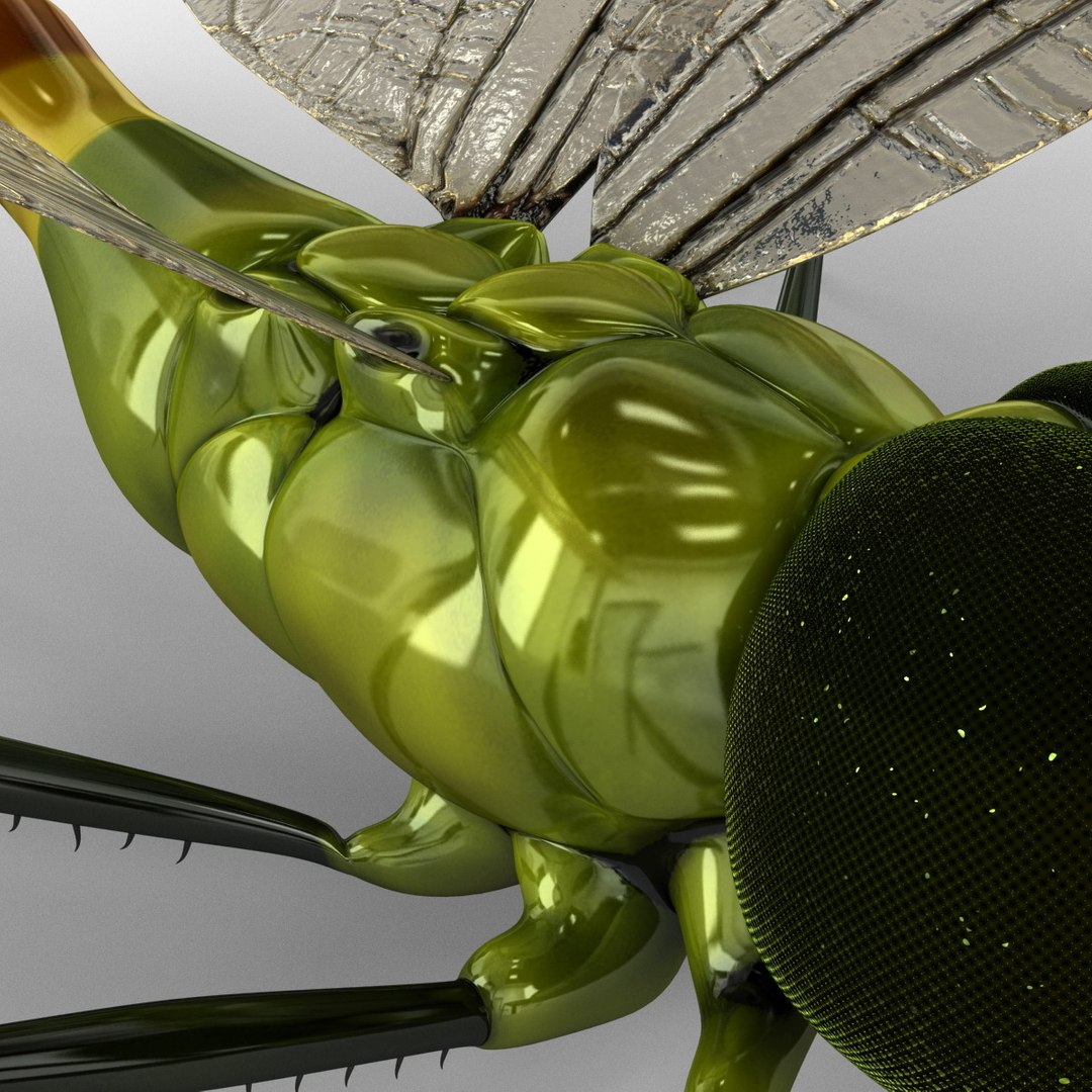 3d model dragon https://p.turbosquid.com/ts-thumb/eR/8N9VXf/KWQeLPOE/dragonfly_16/jpg/1376597403/1920x1080/fit_q87/0be3109ed551e5722caa87c9796e7cf0e313a516/dragonfly_16.jpg