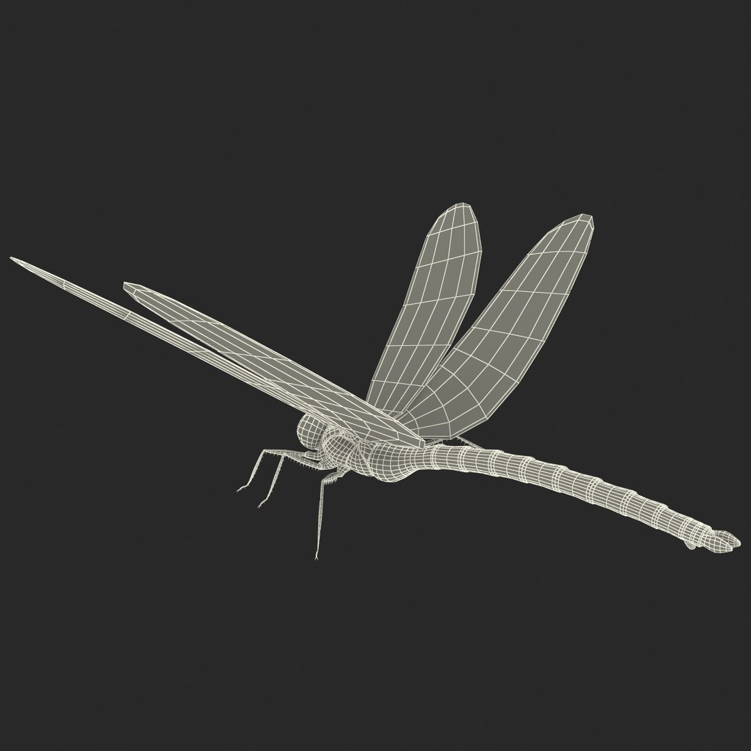 3d model dragon https://p.turbosquid.com/ts-thumb/eR/8N9VXf/aPqUX708/dragonfly_23/jpg/1376597470/1920x1080/fit_q87/5bc9140190b241c412e9965b40c4757bcf331b7c/dragonfly_23.jpg