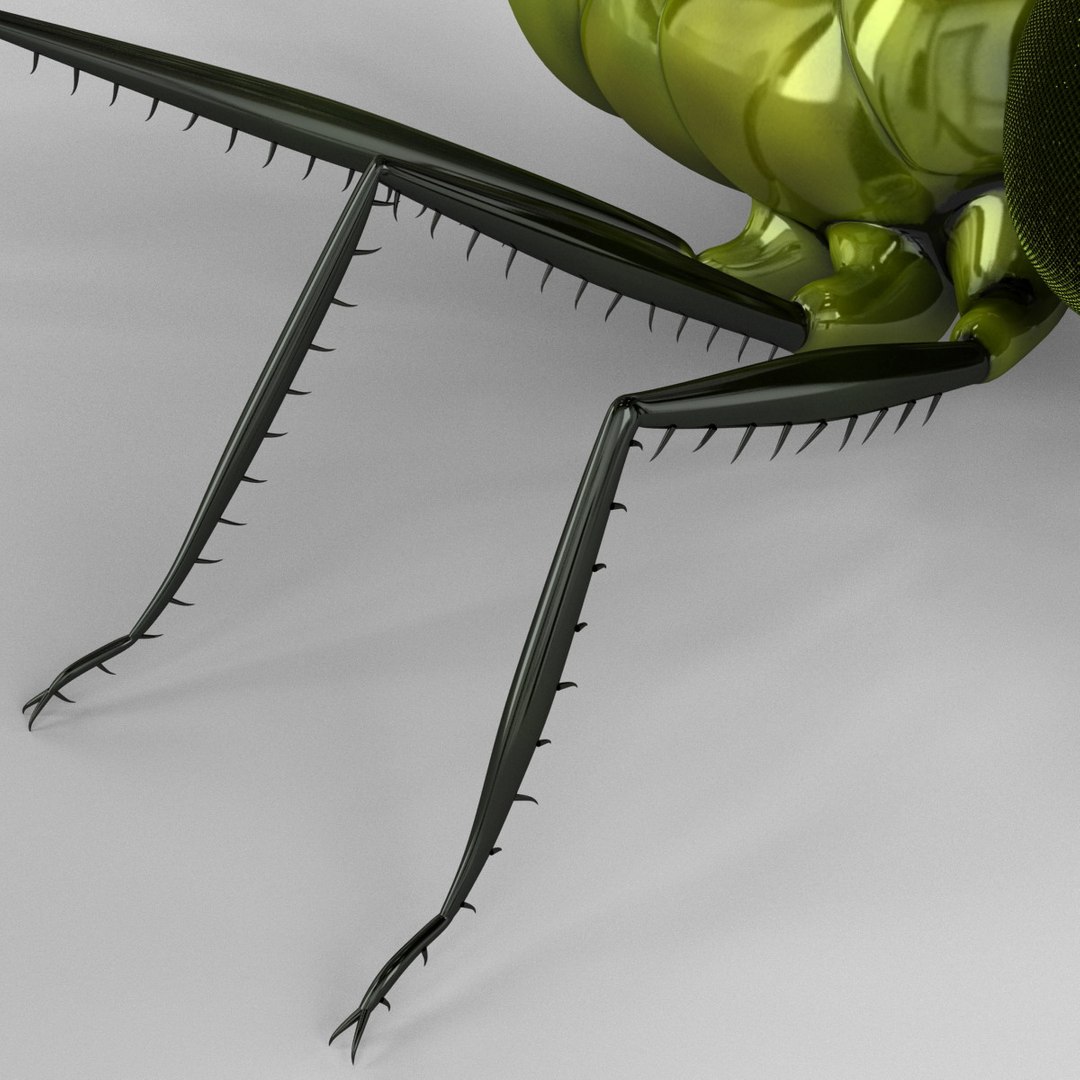 3d model dragon https://p.turbosquid.com/ts-thumb/eR/8N9VXf/hz91FpqB/dragonfly_14/jpg/1376597390/1920x1080/fit_q87/1f341afe5032156272be565a955a24eb98dafa05/dragonfly_14.jpg