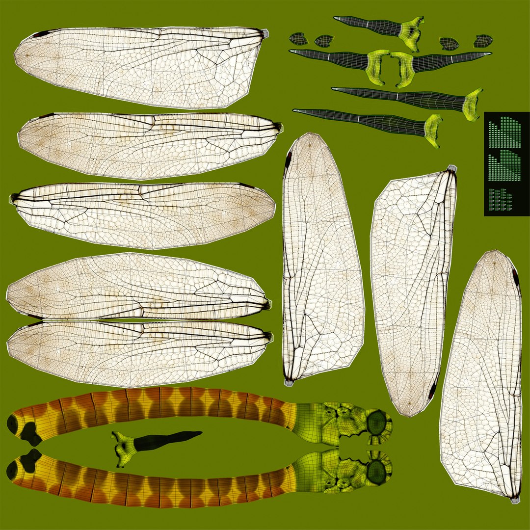 3d model dragon https://p.turbosquid.com/ts-thumb/eR/8N9VXf/u1Ewi0cr/dragonfly_3/jpg/1376597299/1920x1080/fit_q87/0824585c463613fe40da355c335f67ec32559ec2/dragonfly_3.jpg