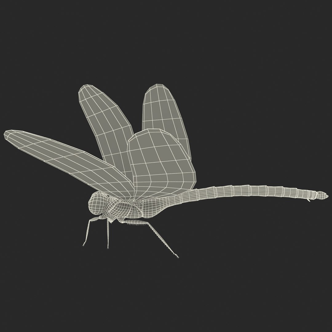 3d model dragon https://p.turbosquid.com/ts-thumb/eR/8N9VXf/uFC2B0WP/dragonfly_18/jpg/1376597428/1920x1080/fit_q87/08fe57584cc0ac25963a27d48bf5755404e574f6/dragonfly_18.jpg