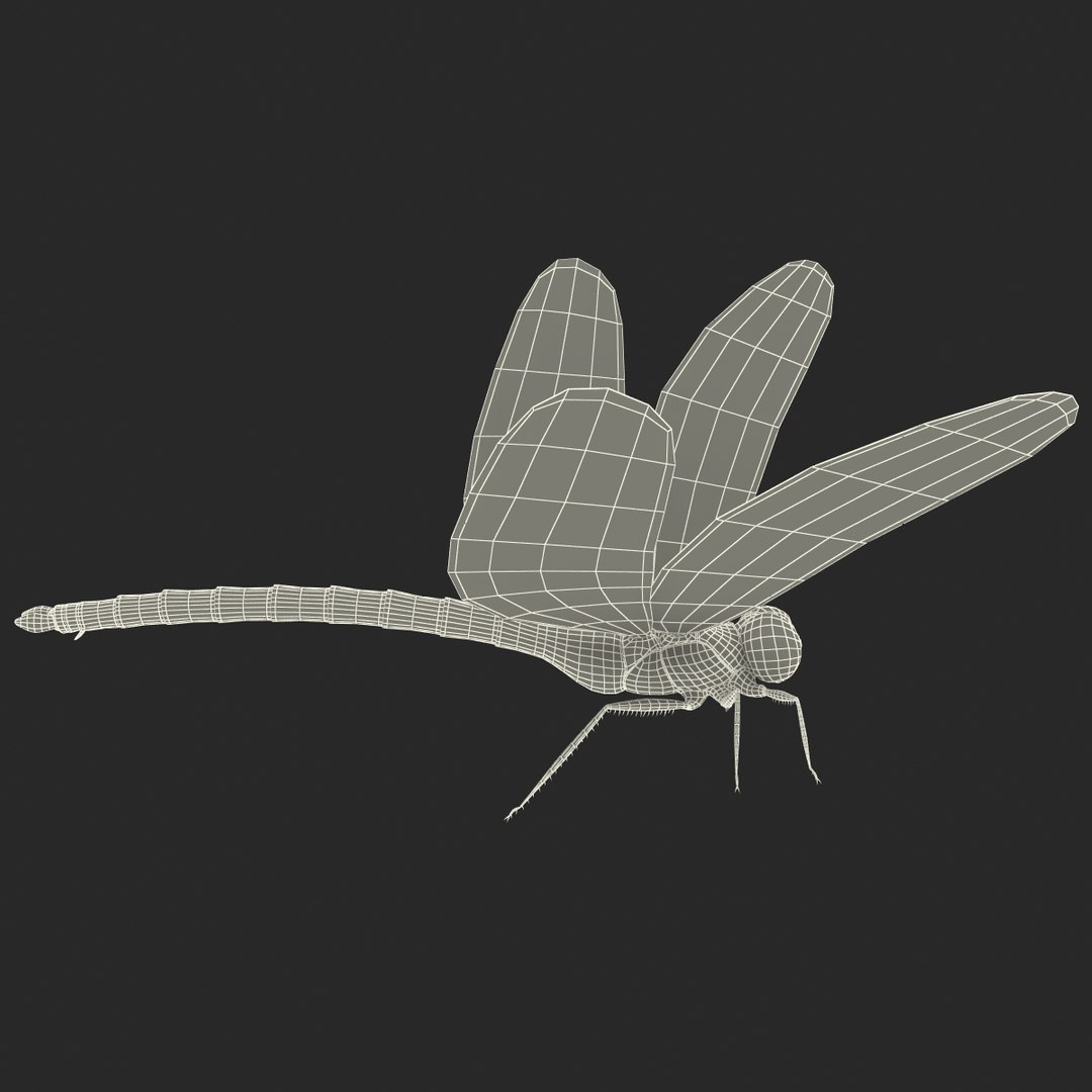 3d model dragon https://p.turbosquid.com/ts-thumb/eR/8N9VXf/zIK4LYEC/dragonfly_21/jpg/1376597450/1920x1080/fit_q87/38fb5775fb072463950022385e745e664740d30a/dragonfly_21.jpg