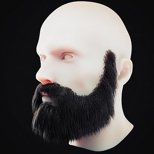 Beard Low Poly 9