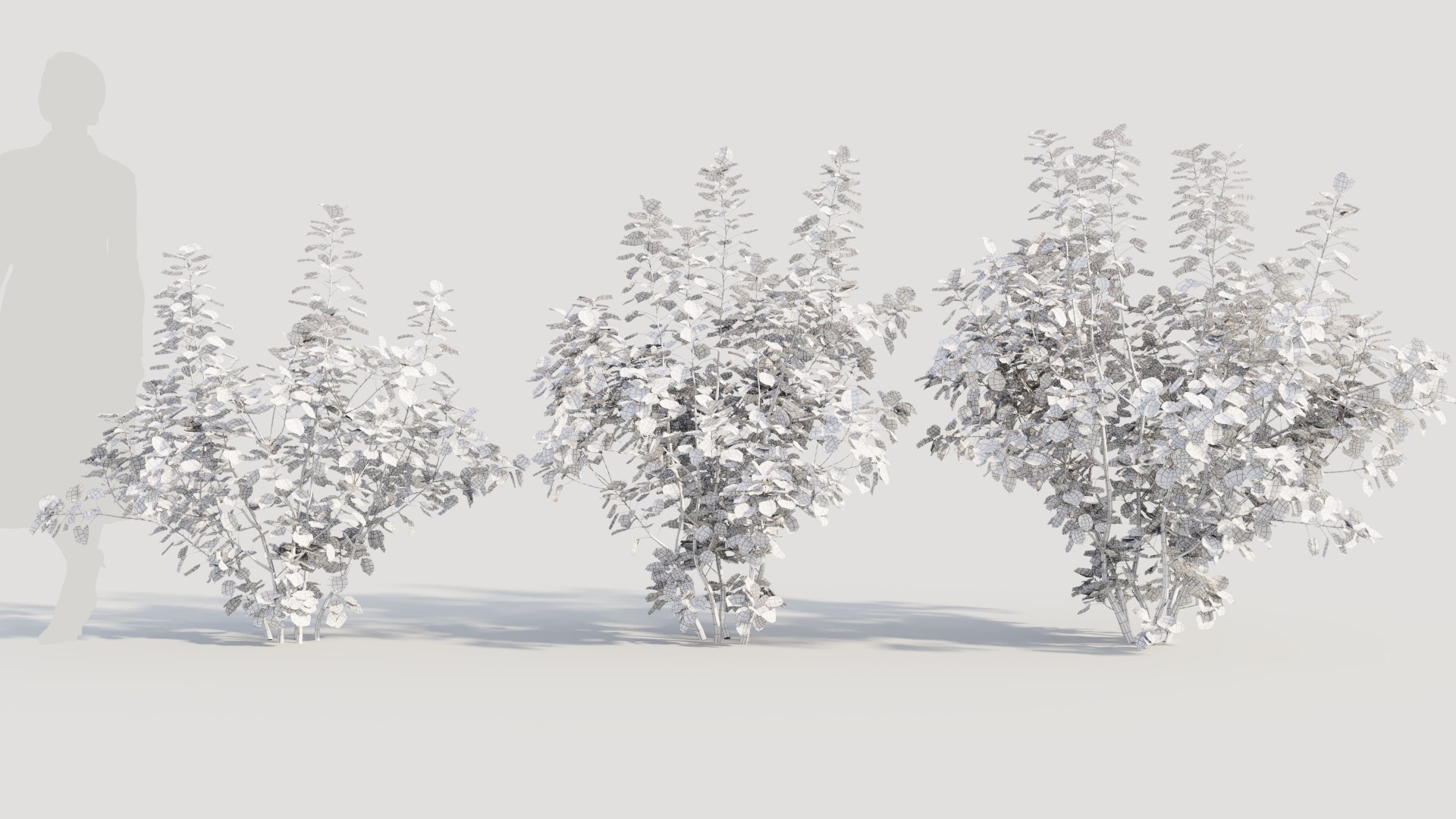 3D Cotinus coggygria a https://p.turbosquid.com/ts-thumb/eR/Hl1Bbj/Q6/cotinuscoggygriaa_2/jpg/1708406124/1920x1080/fit_q87/c3239b94075f76d098152510bdcae8d08feb8eb0/cotinuscoggygriaa_2.jpg