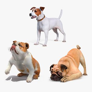 3D Dog Rig Models - Browse & Download Formats - TurboSquid