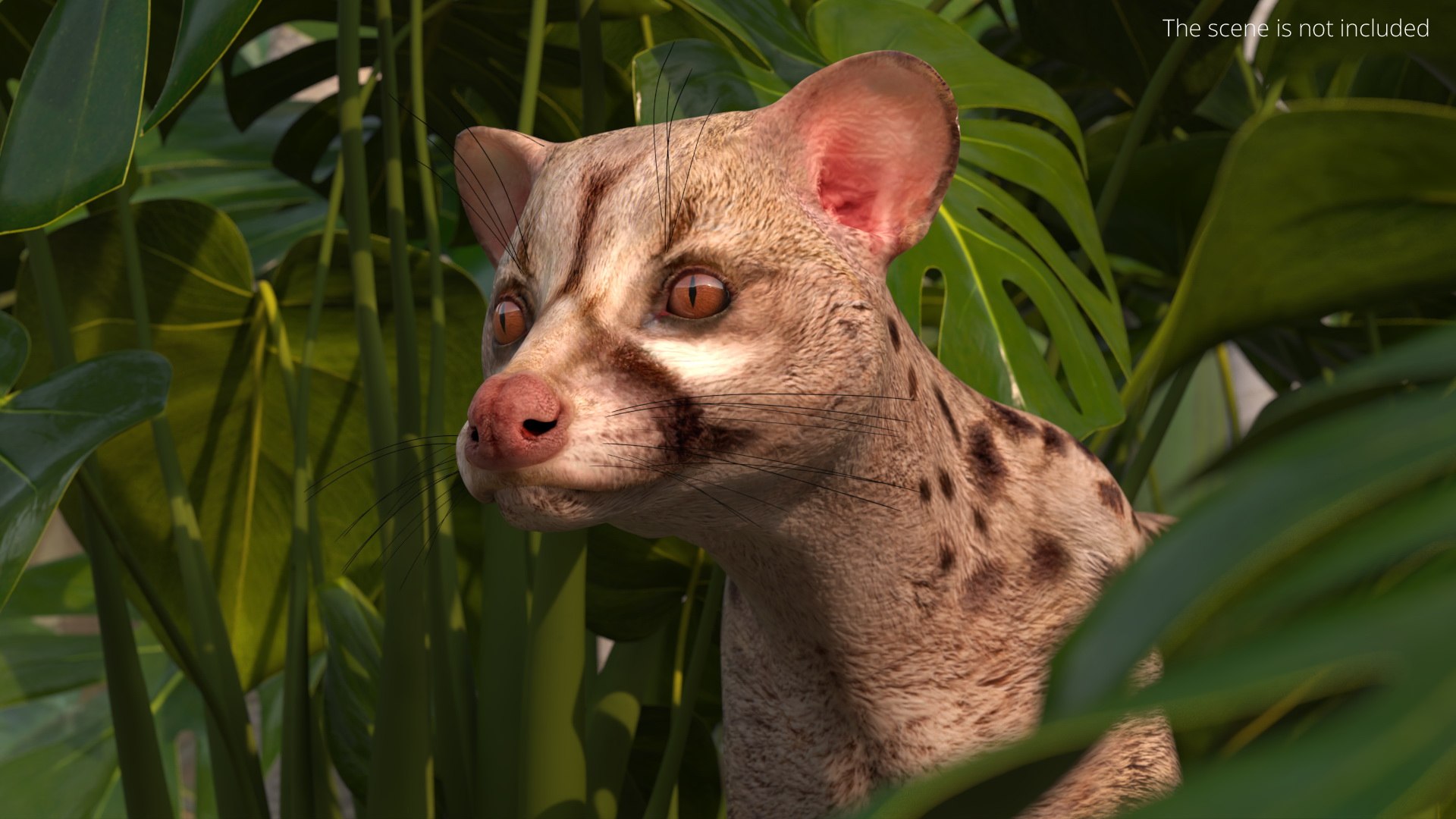 3D Asian Palm Civet Musang Spotted Coat Brown model https://p.turbosquid.com/ts-thumb/eR/Pd7450/E1/asian_palm_civet_musang_spotted_coat_brown_004/jpg/1758860052/1920x1080/fit_q87/cce19160c9af6c5c5c1087616e1c737825b2563d/asian_palm_civet_musang_spotted_coat_brown_004.jpg