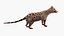 Asian Palm Civet Musang Spotted Coat Brown