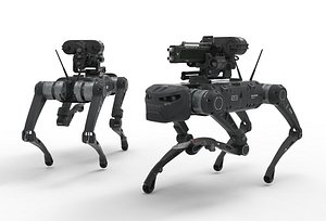 Military Robot Dog with a gun