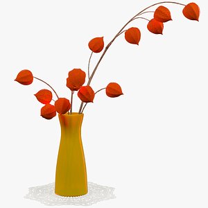 3D physalis vase flowers model