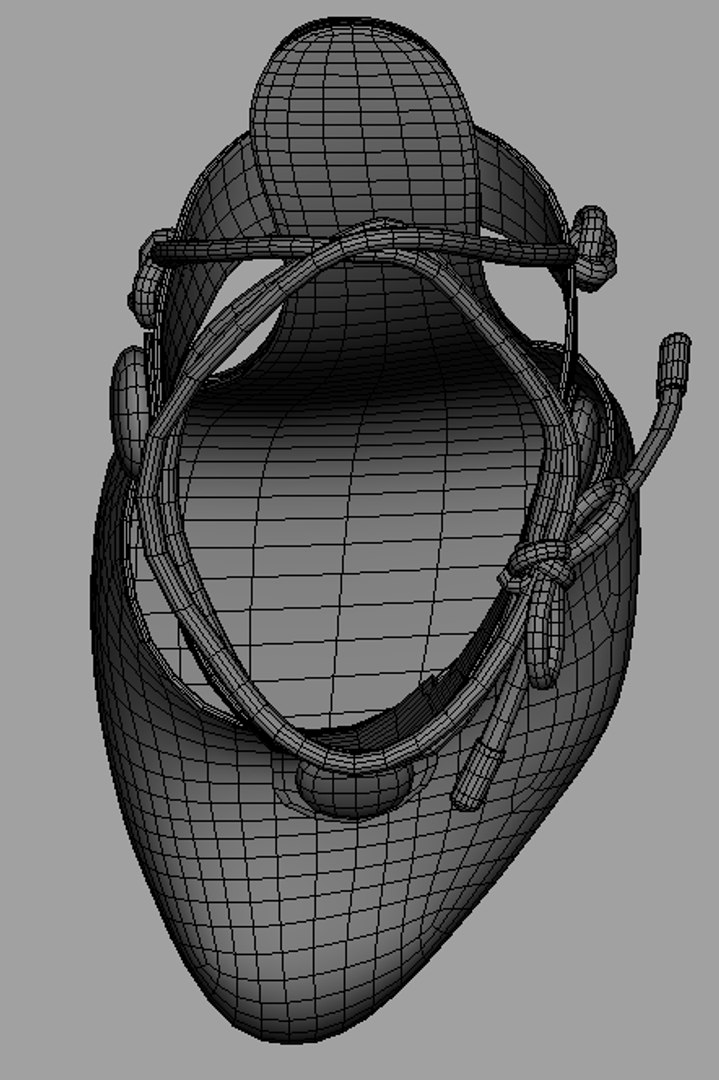 Life Model - TurboSquid 1166152