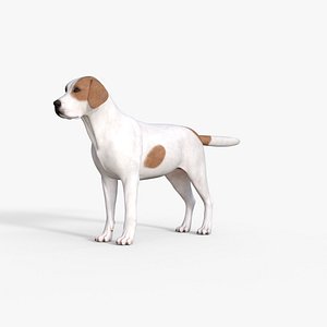 3D Street Dog Rigged