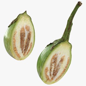 Round Green Eggplant Cut Collection