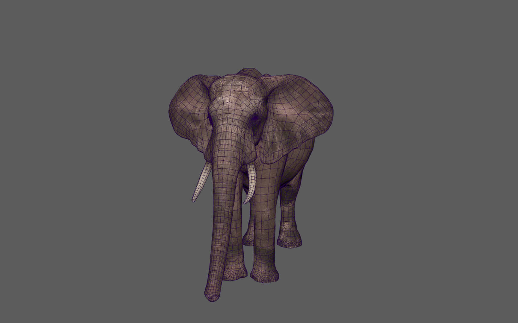 3D African Elephant - photo realistic https://p.turbosquid.com/ts-thumb/eR/fq9Ty1/I5/turn3/jpg/1644330836/1920x1080/turn_fit_q99/10ca066a8cb2ea9f0d2b50eef408b36033daebaa/turn3-1.jpg