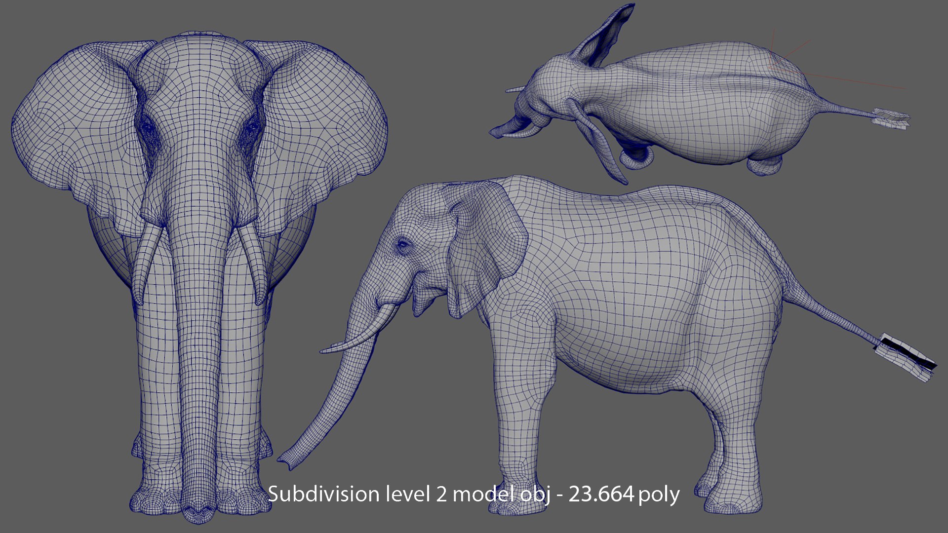 3D African Elephant - photo realistic https://p.turbosquid.com/ts-thumb/eR/fq9Ty1/Ns/screenshot2/jpg/1644333956/1920x1080/fit_q87/1c573c1aa2b6a0ba3924d0c3ce15ae21adc4a511/screenshot2.jpg