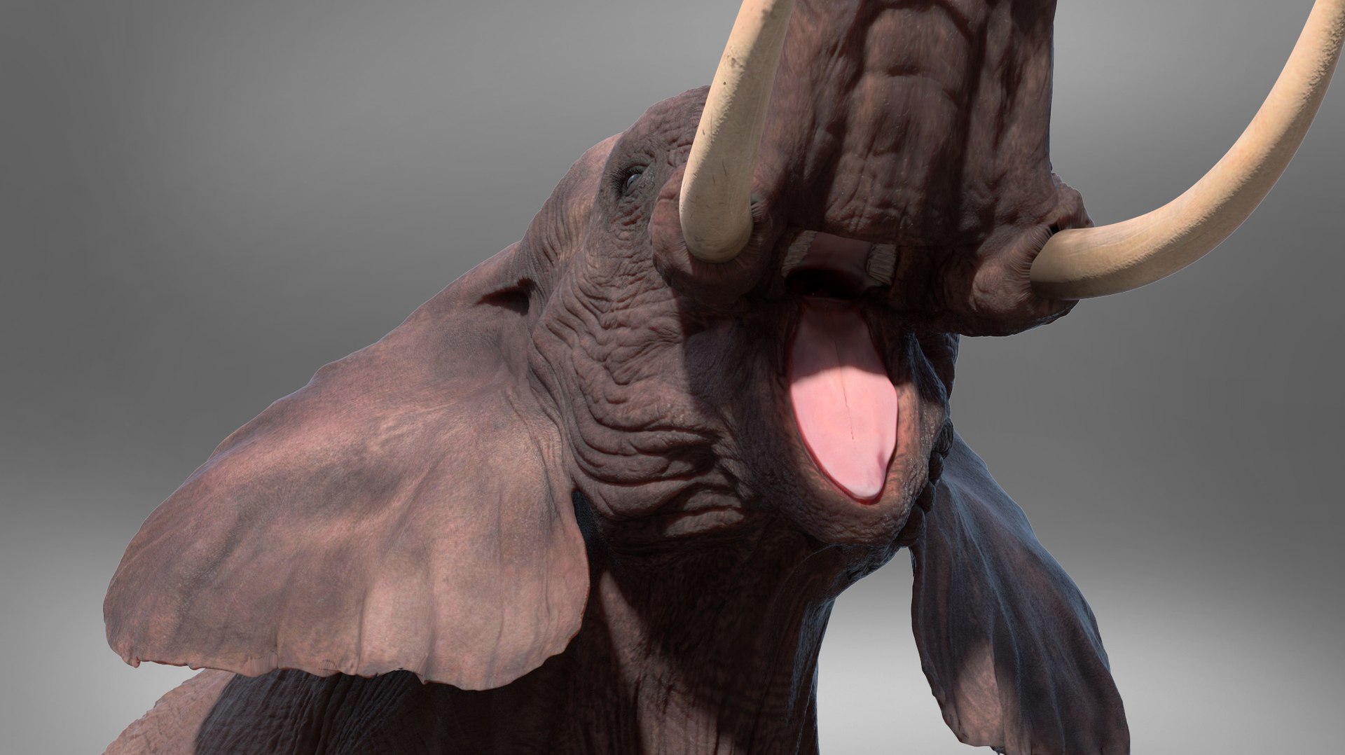 3D African Elephant - photo realistic https://p.turbosquid.com/ts-thumb/eR/fq9Ty1/W6/rndr16/jpg/1644327692/1920x1080/fit_q87/b5900640fd4074c1caf1db85c510480e6aee2f10/rndr16.jpg