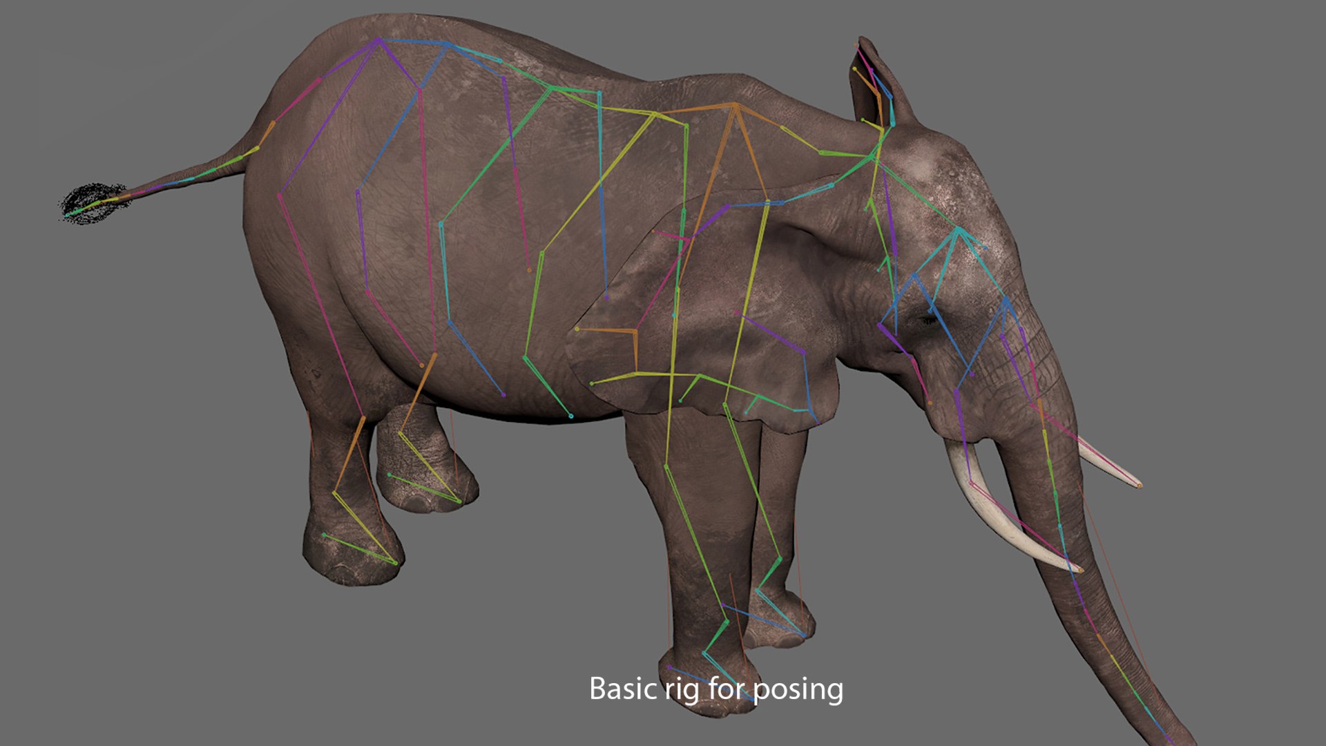 3D African Elephant - photo realistic https://p.turbosquid.com/ts-thumb/eR/fq9Ty1/XS/screenshot1/jpg/1644333397/1920x1080/fit_q87/f1803a496edc54135977e607f904598c23abe4cb/screenshot1.jpg