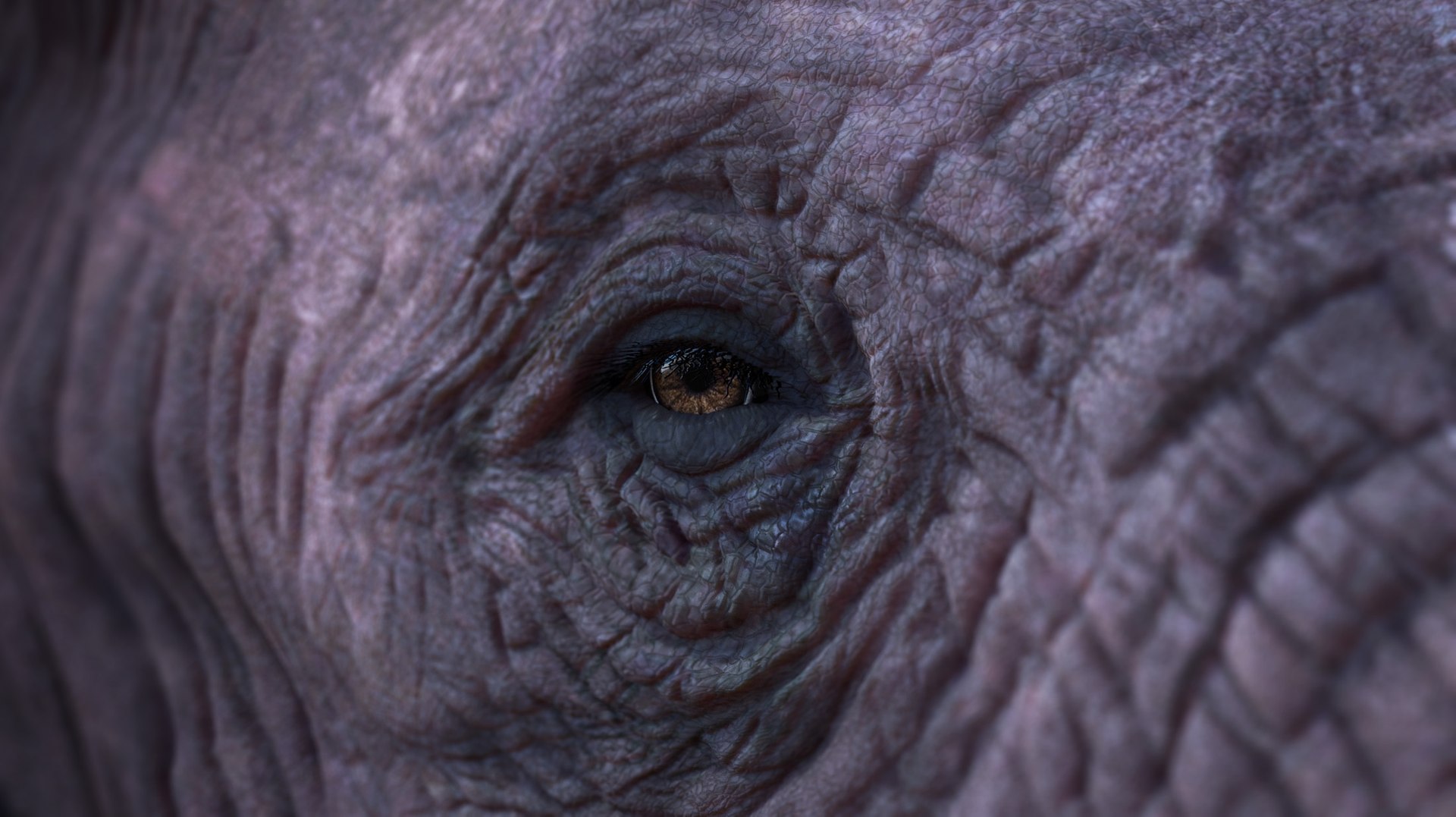 3D African Elephant - photo realistic https://p.turbosquid.com/ts-thumb/eR/fq9Ty1/f1/rndr25/jpg/1644327694/1920x1080/fit_q87/8ea4533a3f86f59a763cc33903c12c0e9a2a52b9/rndr25.jpg