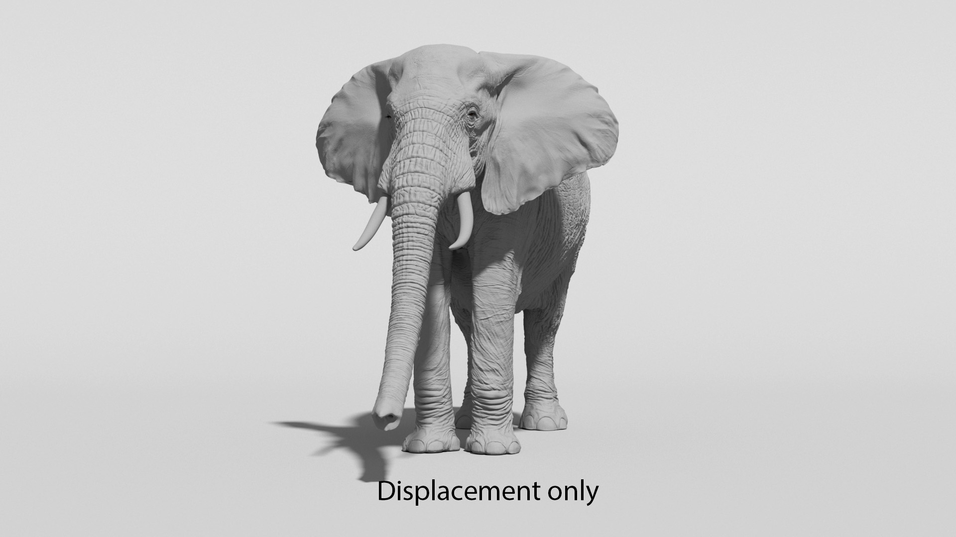 3D African Elephant - photo realistic https://p.turbosquid.com/ts-thumb/eR/fq9Ty1/og/turn3/jpg/1644330779/1920x1080/turn_fit_q99/e7dc207c9dd3a92e171019a4462d81e9c38508a4/turn3-1.jpg