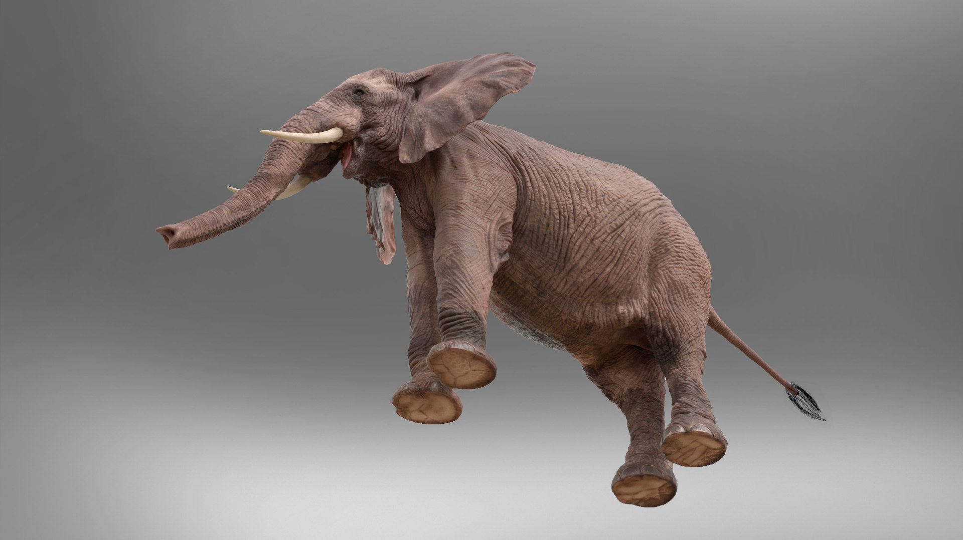 3D African Elephant - photo realistic https://p.turbosquid.com/ts-thumb/eR/fq9Ty1/wO/rndr20/jpg/1644327692/1920x1080/fit_q87/afed656085c2f9ead25eec4c630944d76b7f9bdf/rndr20.jpg