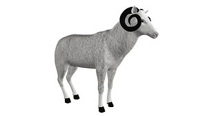 Farm Animals Pack Fully RIgged and Animated