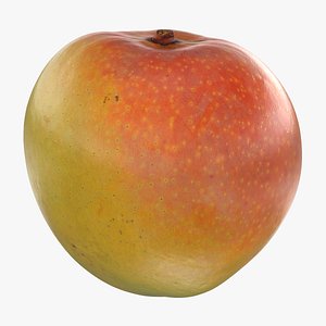 3D Mango 02