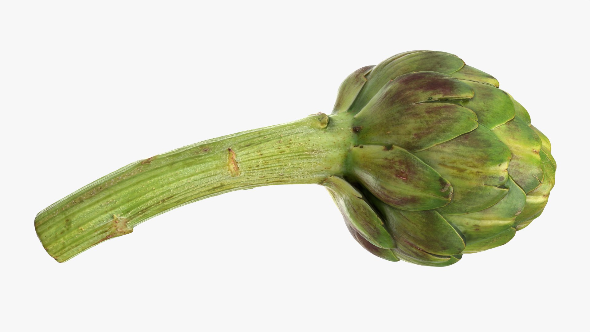 Artichoke with Stem model https://p.turbosquid.com/ts-thumb/eS/0QTv3a/6F/artichokestem_0004/png/1756641152/1920x1080/fit_q87/24a06ea5a56e6363882f2dc5d1db3836d1353360/artichokestem_0004.jpg