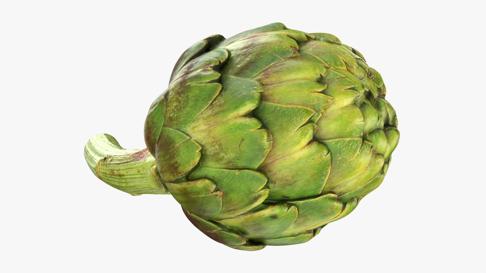 Artichoke with Stem model https://p.turbosquid.com/ts-thumb/eS/0QTv3a/7P/artichokestem_0008/png/1756641168/1920x1080/fit_q87/336243ac721b25cd527d1411917fd340f6a89ed1/artichokestem_0008.jpg