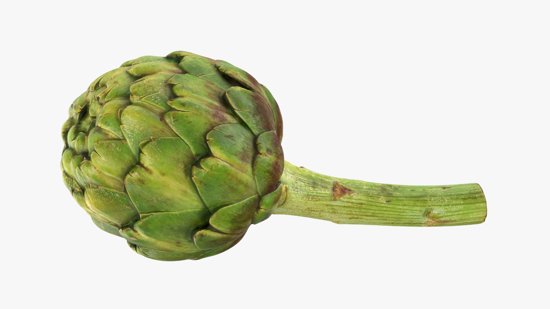 Artichoke Collection 3D model https://p.turbosquid.com/ts-thumb/eS/0QTv3a/88/artichokestem_0001/png/1788234459/1920x1080/fit_q87/5395c97ea015d57434122dda6d3b2921044680de/artichokestem_0001.jpg
