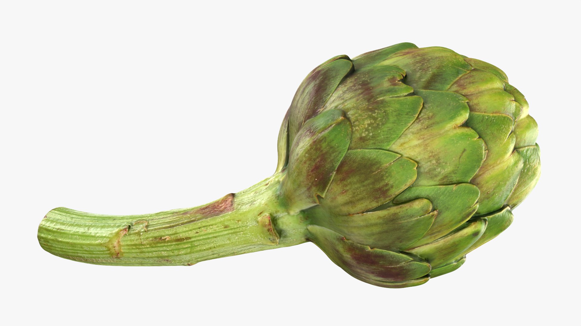Artichoke with Stem model https://p.turbosquid.com/ts-thumb/eS/0QTv3a/D6/artichokestem_0006/png/1756641156/1920x1080/fit_q87/918784e7ed350534b15689040bd98e9337d14a5f/artichokestem_0006.jpg