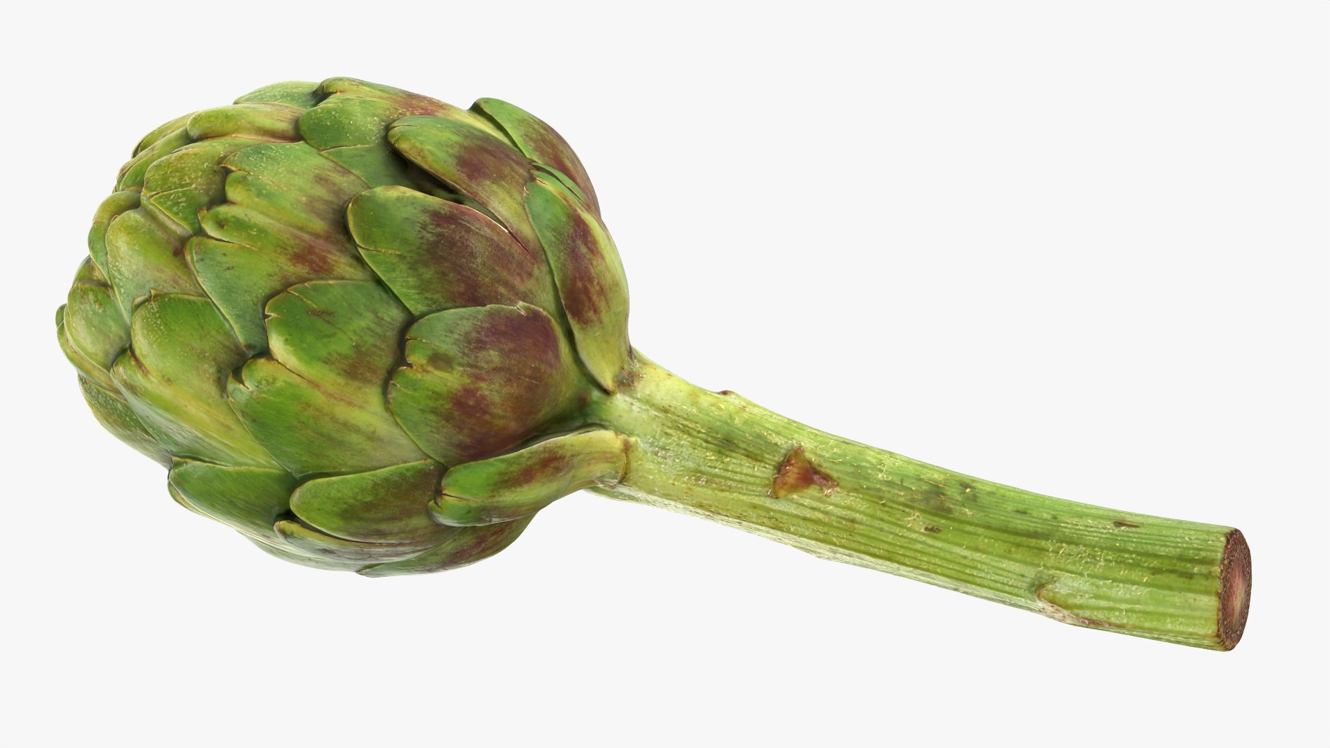 Artichoke with Stem model https://p.turbosquid.com/ts-thumb/eS/0QTv3a/JW/artichokestem_0009/png/1756641176/1920x1080/fit_q87/cfa767fa2c35cf8de8c3946da70e6ef993aed462/artichokestem_0009.jpg