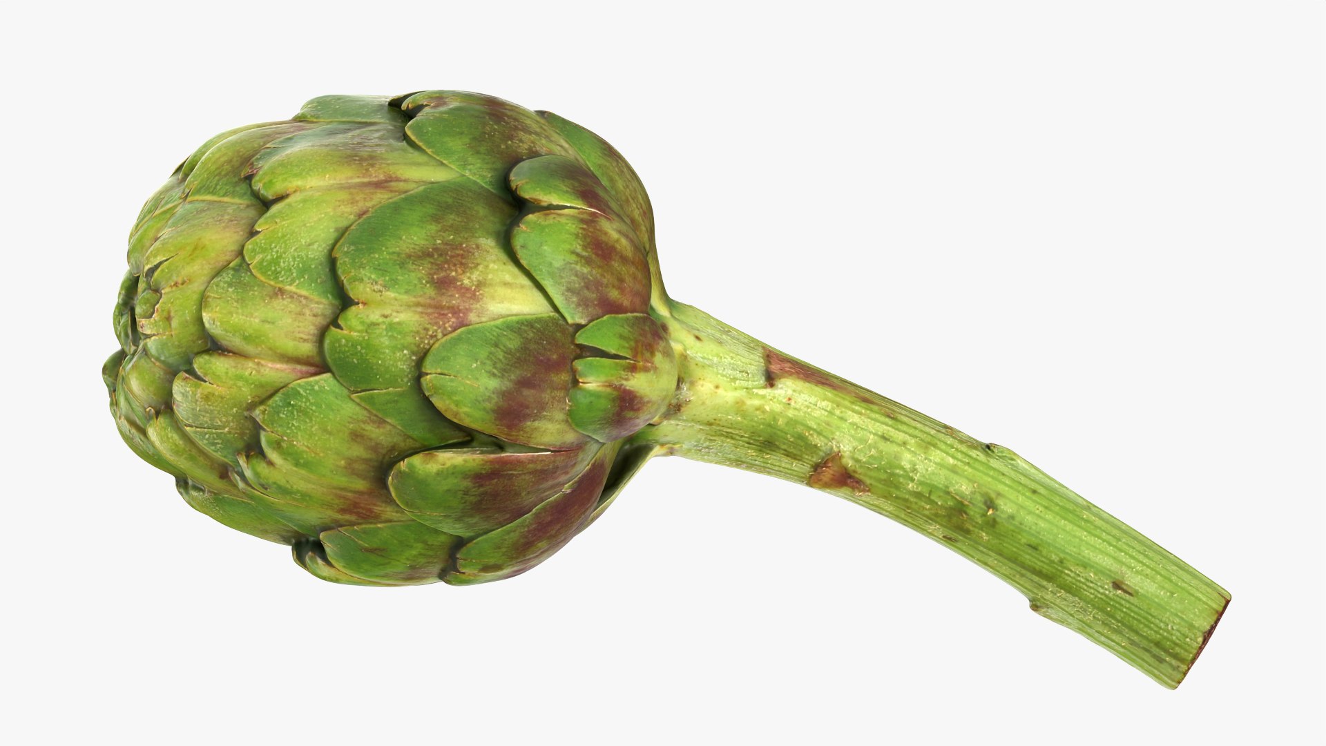 Artichoke with Stem model https://p.turbosquid.com/ts-thumb/eS/0QTv3a/KU/artichokestem_0003/png/1756641147/1920x1080/fit_q87/35599d433ddc3ef0e4d8036f22a9b7ddeb70da73/artichokestem_0003.jpg