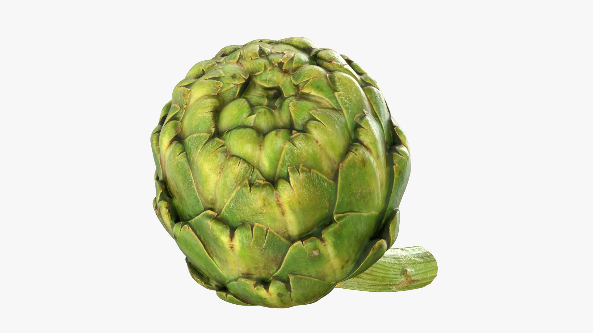 Artichoke with Stem model https://p.turbosquid.com/ts-thumb/eS/0QTv3a/LE/artichokestem_0005/png/1756641151/1920x1080/fit_q87/38118633f0b2255fe561335f1e6931ec8b09683f/artichokestem_0005.jpg