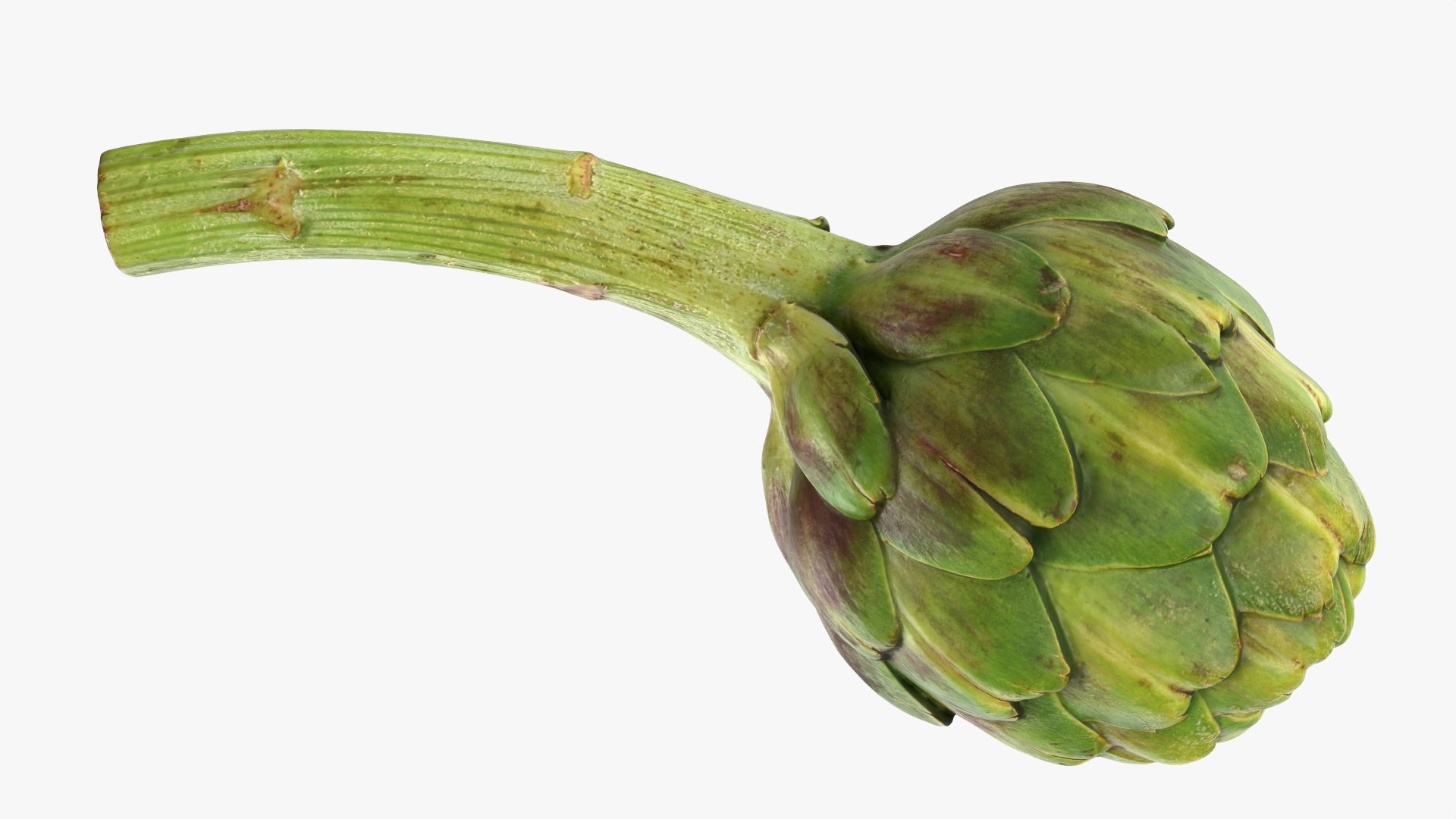 Artichoke with Stem model https://p.turbosquid.com/ts-thumb/eS/0QTv3a/Lv/artichokestem_0011/png/1756641191/1920x1080/fit_q87/1199f6498da46be807c14a828e8dd37e9206c928/artichokestem_0011.jpg