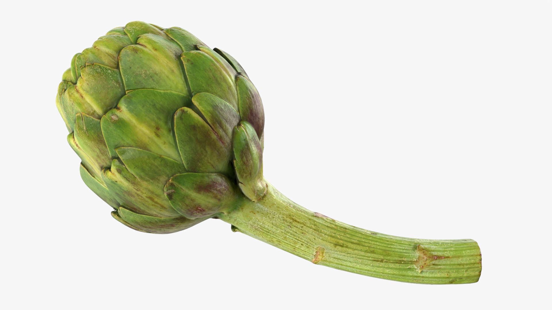 Artichoke with Stem model https://p.turbosquid.com/ts-thumb/eS/0QTv3a/Y8/artichokestem_0010/png/1756641175/1920x1080/fit_q87/c703bf429bff1c3b07a12c7a4564b76ac3a580ac/artichokestem_0010.jpg