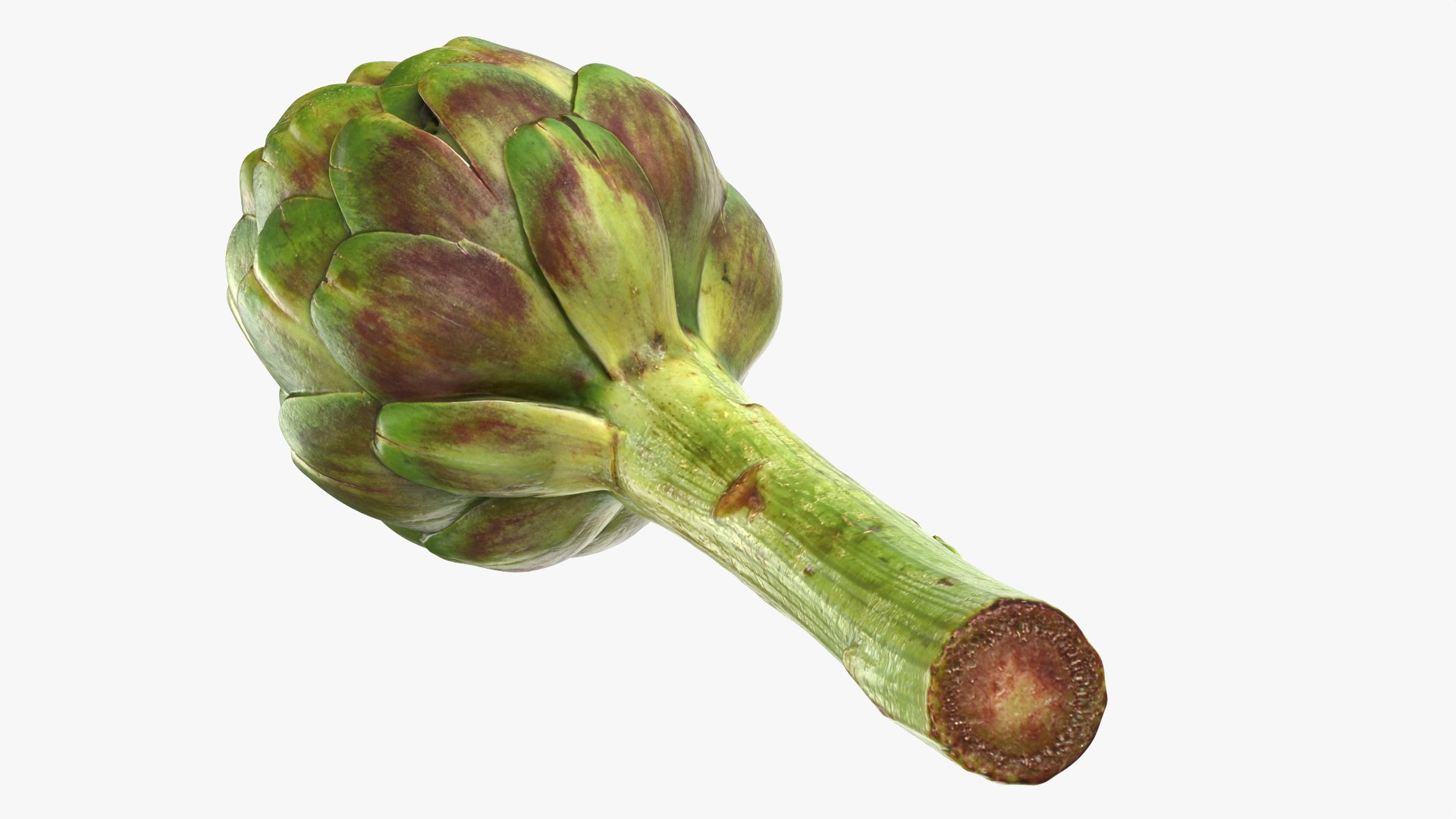 Artichoke with Stem model https://p.turbosquid.com/ts-thumb/eS/0QTv3a/jR/artichokestem_0007/png/1756641163/1920x1080/fit_q87/6dd42bd104224d6ba7fd0fb6019e6661ba92d166/artichokestem_0007.jpg