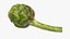 Carciofo con gambo