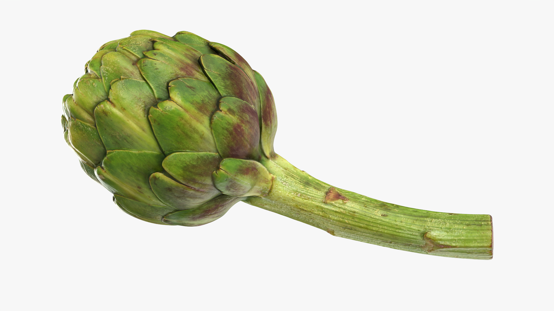Artichoke with Stem model https://p.turbosquid.com/ts-thumb/eS/0QTv3a/l0/artichokestem/png/1756641215/1920x1080/turn_fit_q99/9f16e34b6375db777dead88ef97290de46522d1c/artichokestem-1.jpg
