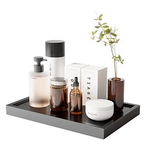 Bathroom Accessories 121 3D