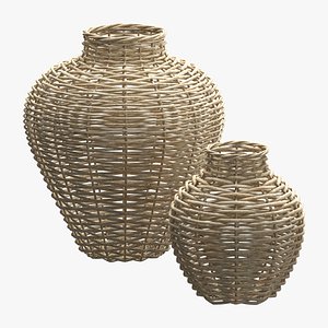 3D Wicker vases model