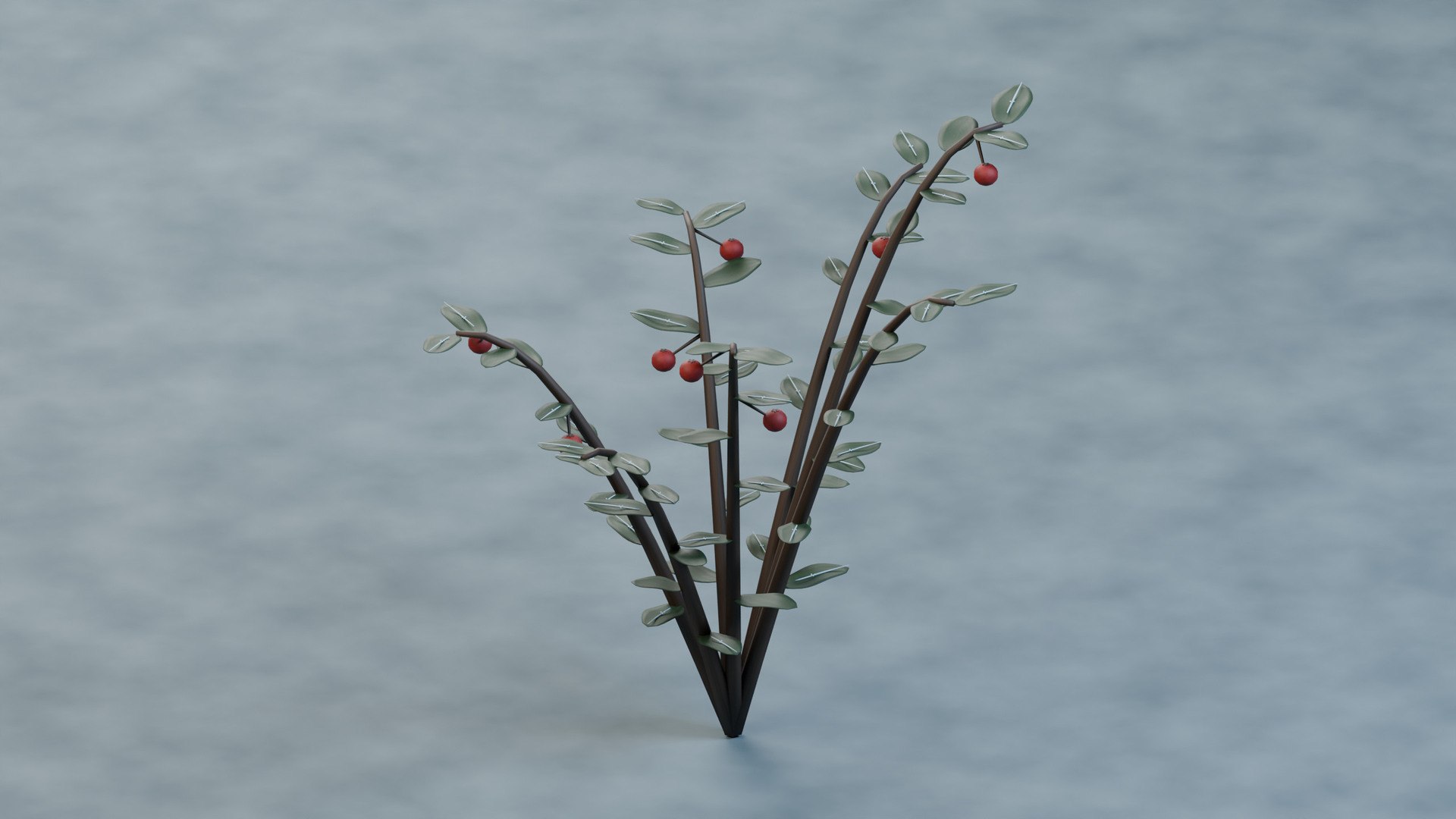 Frosted Lingonberry - Small Evergreen Leaves and Berries 3D https://p.turbosquid.com/ts-thumb/eS/2dnaQk/7u/product_02/jpg/1793214404/1920x1080/fit_q87/26879d95e9f927e1b39e6e9961565878124e2652/product_02.jpg